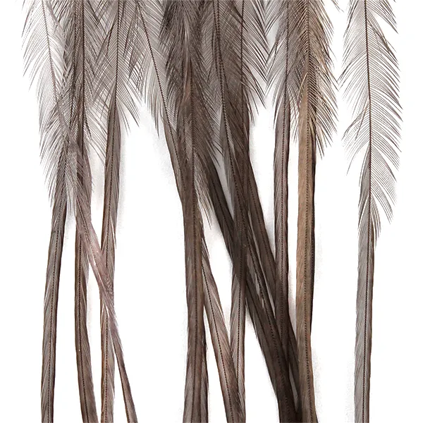 Whiting 100 Hackle Pack