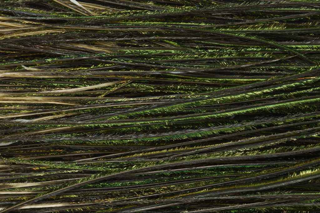 Fulling Mill Prem. Selected Peacock Herl - Natural