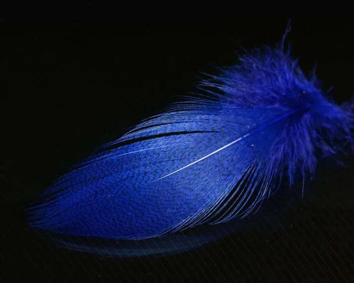 Nature's Spirit Mallard Spey