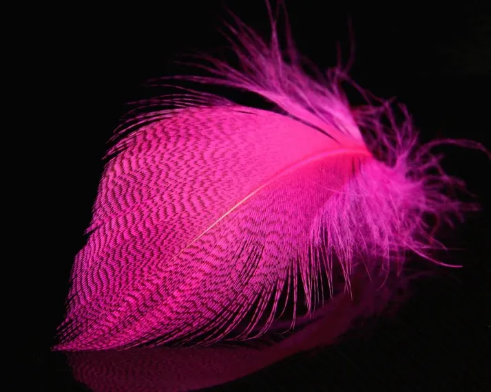 Nature's Spirit Mallard Spey