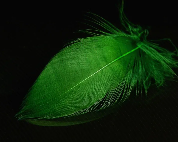 Nature's Spirit Mallard Spey