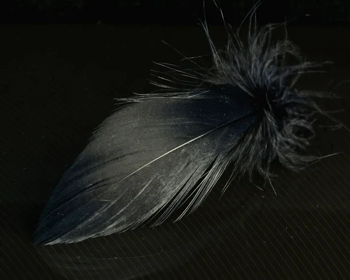 Nature's Spirit Mallard Spey