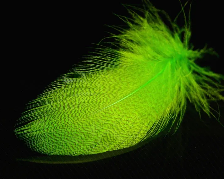 Nature's Spirit Mallard Spey