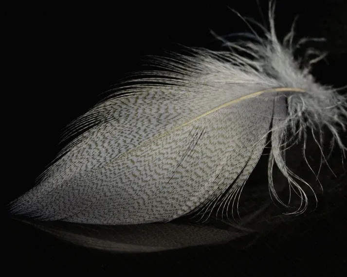 Nature's Spirit Mallard Spey