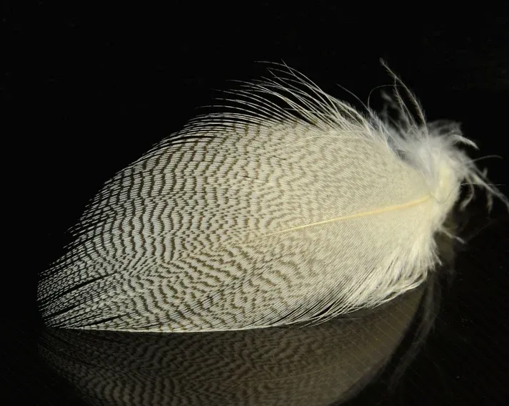 Nature's Spirit Mallard Spey