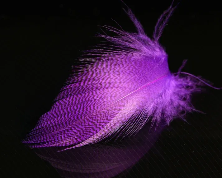 Nature's Spirit Mallard Spey