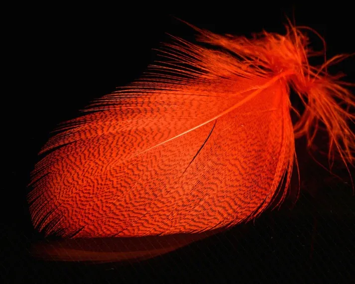Nature's Spirit Mallard Spey, Color: Hot Orange