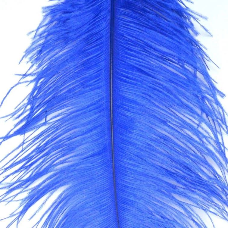 Nature's Spirit Ostrich Plume 10-12"