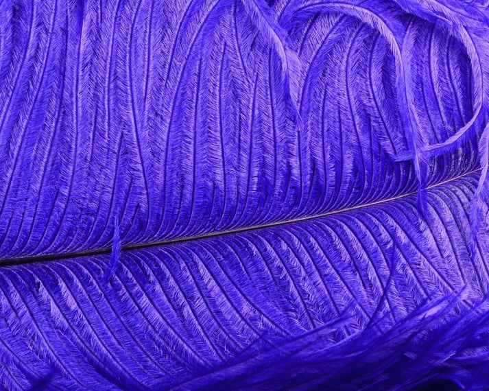 Nature's Spirit Ostrich Plume 10-12"