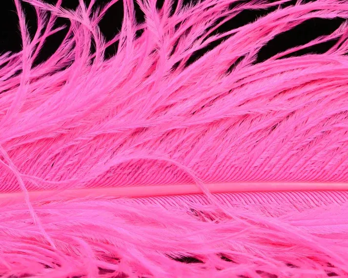 Nature's Spirit Ostrich Plume 10-12"