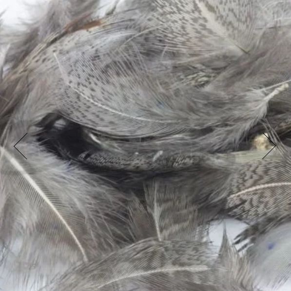 Nature's Spirit Premium Partridge