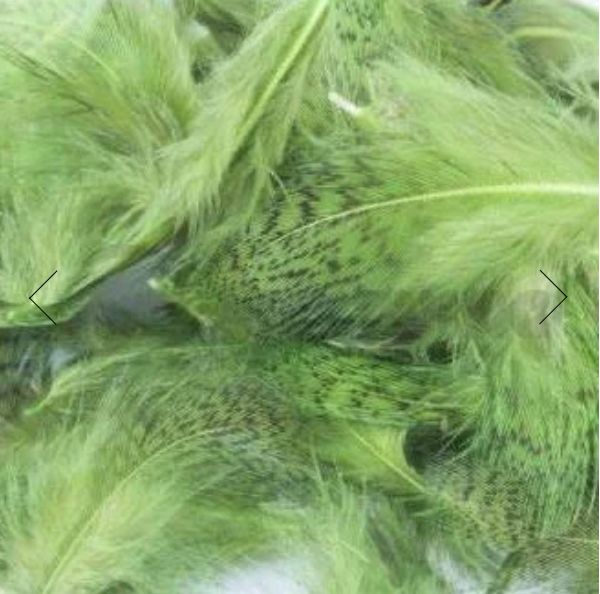 Nature's Spirit Premium Partridge