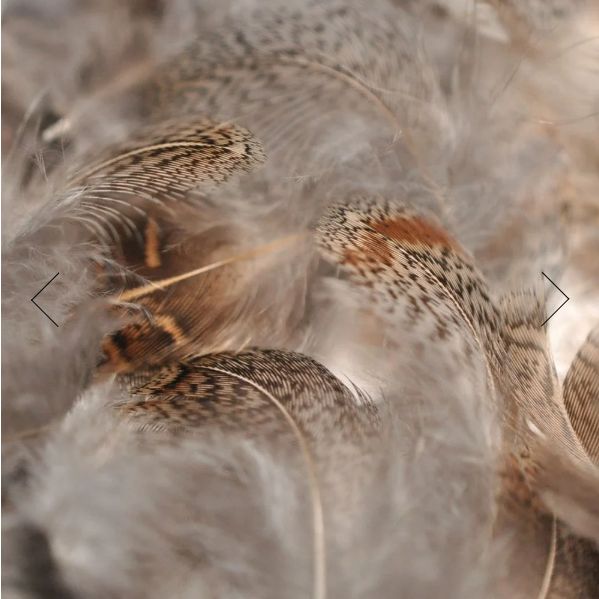 Nature's Spirit Premium Partridge