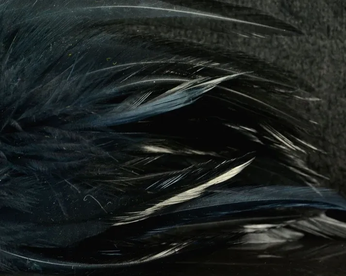 Nature's Spirit Fish Hunter Select Saddle Hackle