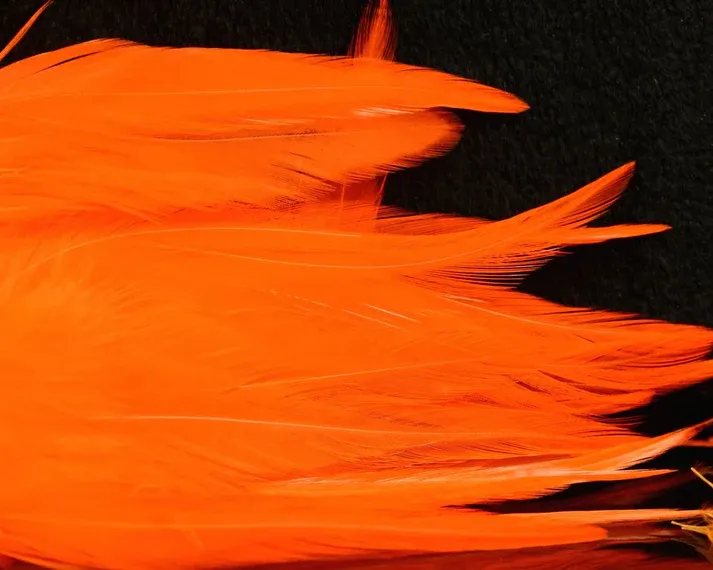 Nature's Spirit Fish Hunter Select Saddle Hackle