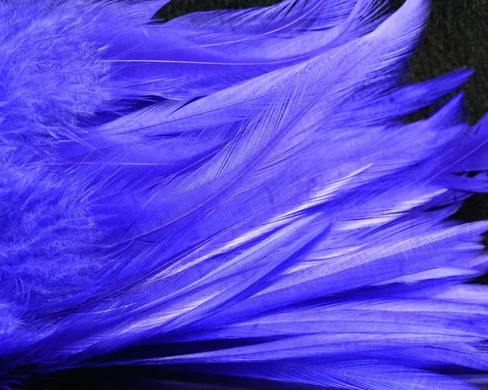 Nature's Spirit Fish Hunter Select Saddle Hackle
