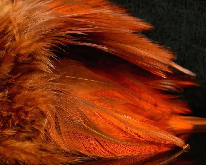 Nature's Spirit Fish Hunter Select Saddle Hackle