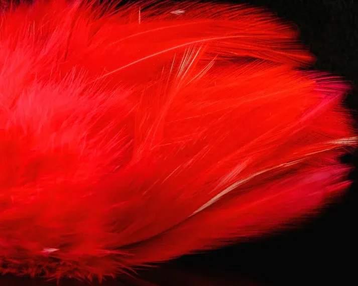 Nature's Spirit Fish Hunter Select Saddle Hackle