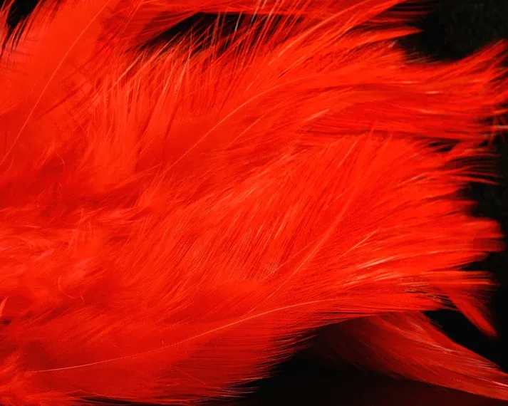 Nature's Spirit Fish Hunter Select Saddle Hackle