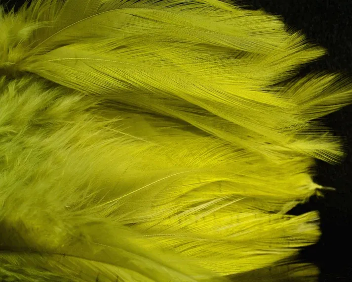 Nature's Spirit Fish Hunter Select Saddle Hackle
