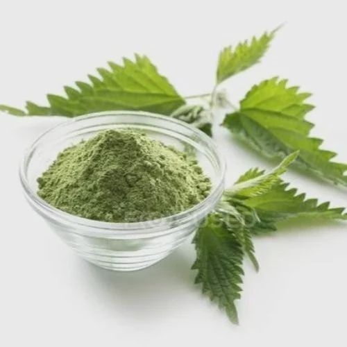 Nettle Leaf