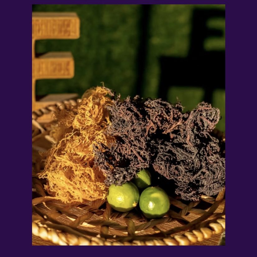 Create Your Own Sea Moss Gel