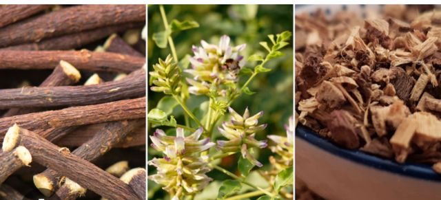 Licorice Root