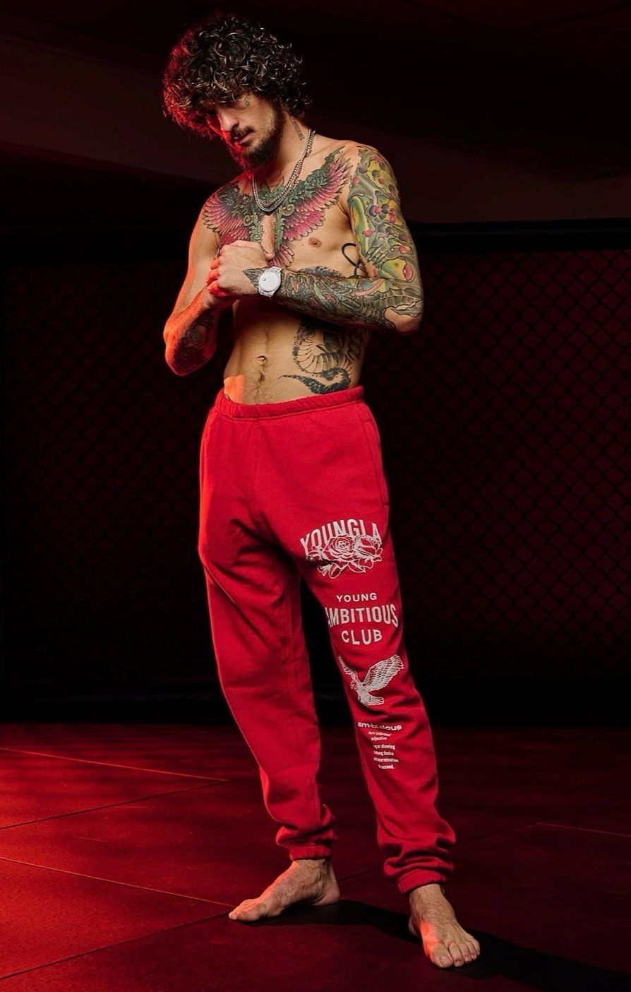 233 - THE IMMORTAL JOGGERS