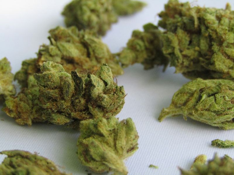 Hemp Budget