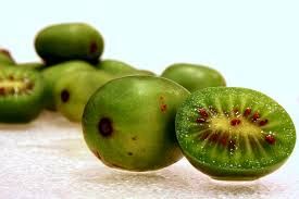 100 Seeds Actinidia arguta BOWER ACTINIDIA, HARDY KIWI