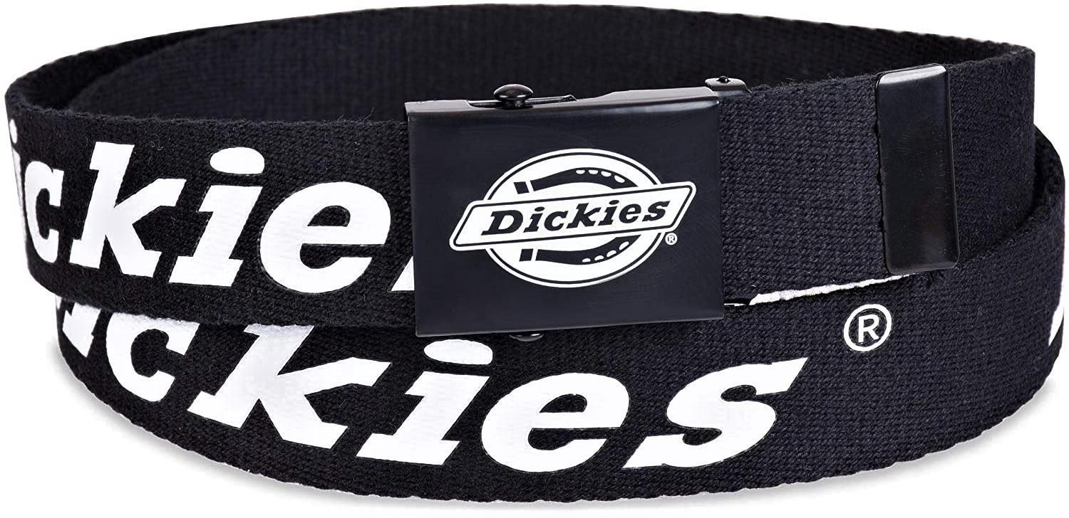 11DI030005 LOGO WEB BELT