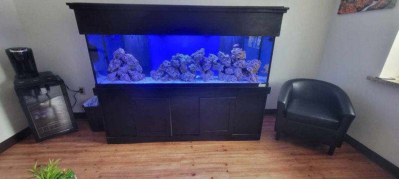 125 Gallon Reef Ready Complete Setup Installed