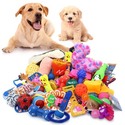 Dog Supplies
