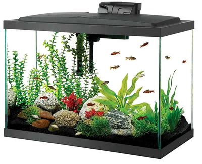 Aquarium Kits