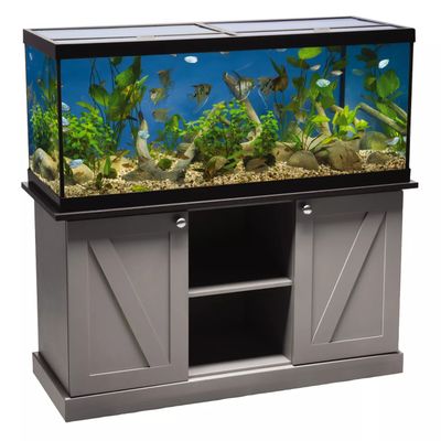 Freshwater Setups