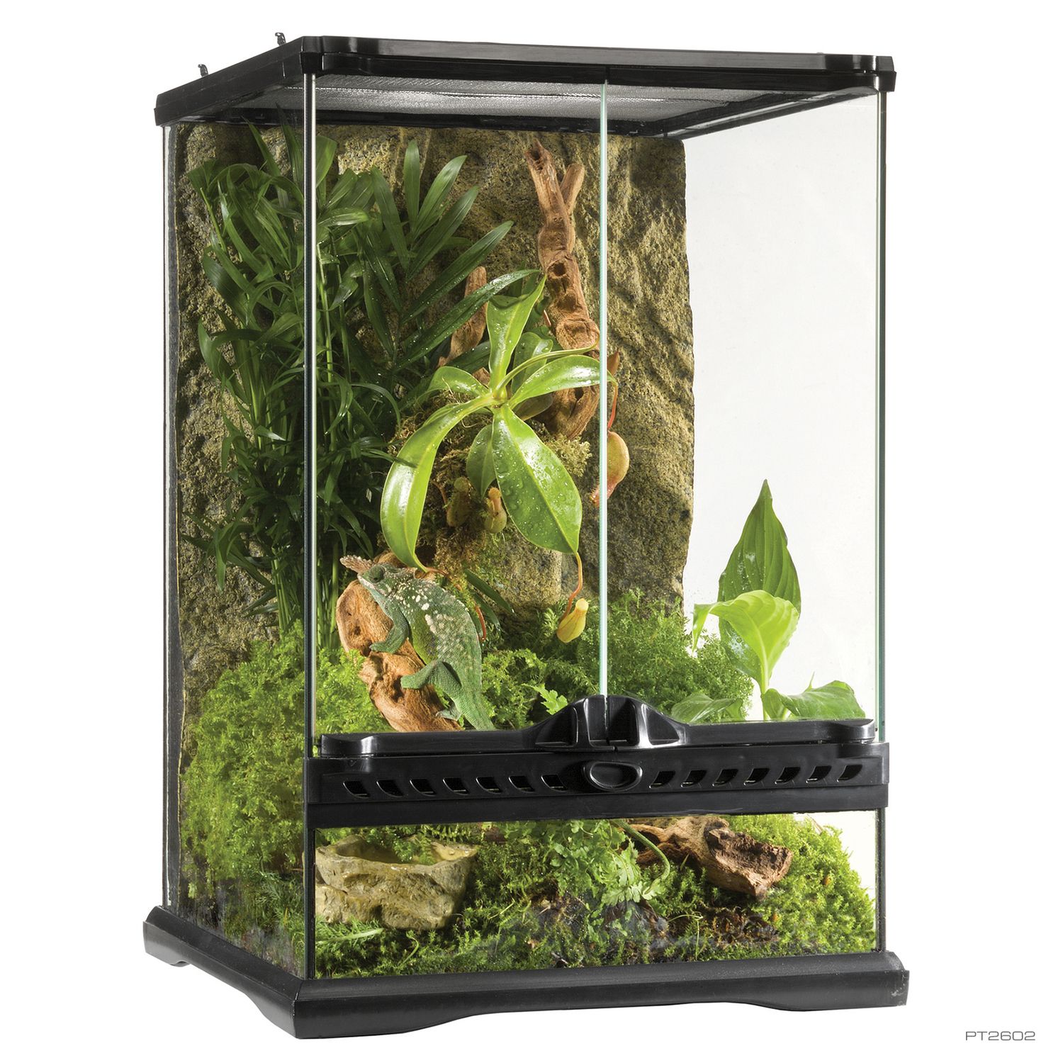 Glass Terrarium Mini Tall 12x12x18
