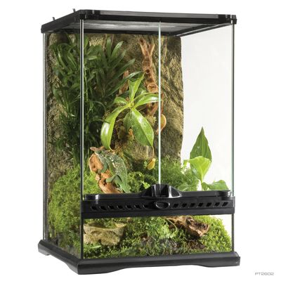 Glass Terrarium Mini Tall 12x12x18