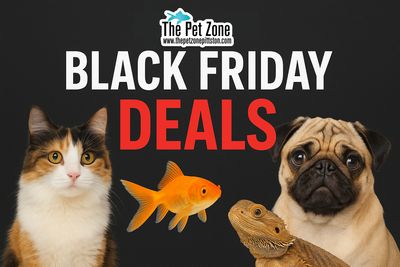 Black Friday Deals