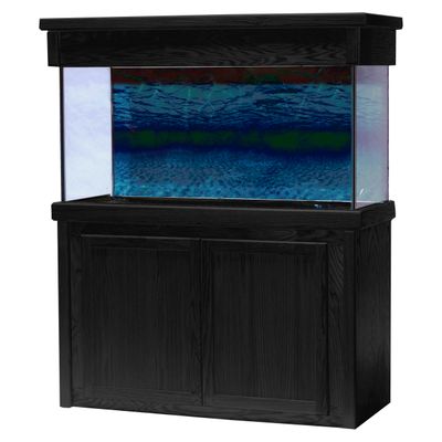 Aquariums &amp; Stands