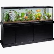 125 Gallon Tank &amp; Stand