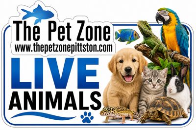 Live Animals