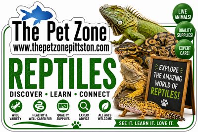 Reptiles