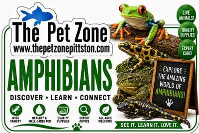 Amphibians