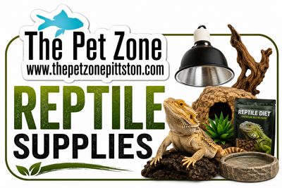 Reptile Supplies