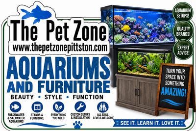 Aquariums &amp; Stands