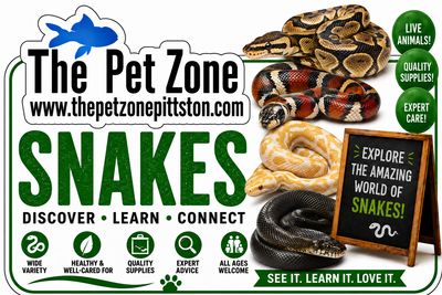 Snakes