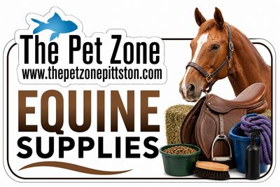 Equine