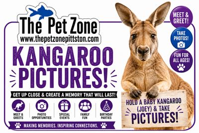 Kangaroo Meet &amp; Greet September 12th 2026