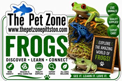 Frogs