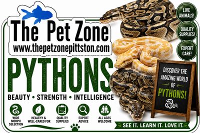 Pythons
